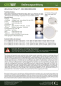 Preview: LED Einbauleuchte "CKP-05 CCT" 5W 3000/4000/6200K Ø95mm Licht-Panel 23882