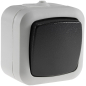 Preview: Feuchtraum Wechsel-Schalter IP44 grau ChiliTec 20467