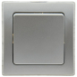 Preview: ChiliTec DELPHI Taster in Farbe silber mit  Rahmen