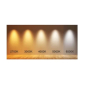 Preview: Bioledex LED Lampe A60 CCT Switch 2700K/3000K/4000K/5000K/6500K 10W 1100Lm E27 E27-CCT1-976