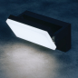 Preview: LED Wandleuchte XERTO EL CCT 3000/4000/6500K IP65 45818