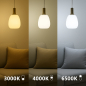 Preview: Energetic LED Lampe A60 CCT Switch 3000/4000/6500K 900Lm E27 2672002701
