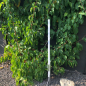 Preview: Bioledex Metall Erdspieß für vertikale Pflanzenbeleuchtung TIP65-System IP8-10ES-332