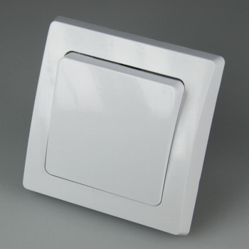 DELPHI Taster Lichttaster 250V 10A UP weiß Rahmen + Einsatz