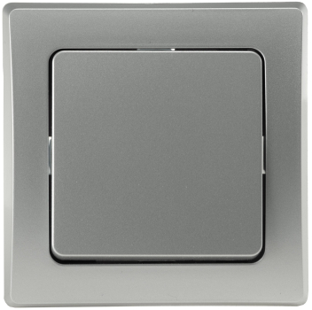 DELPHI Kreuzschalter 250AV/10A silber, inkl. Rahmen