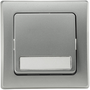 DELPHI Taster mit Namensschild 0-250AV/10A silber, inkl. Rahmen