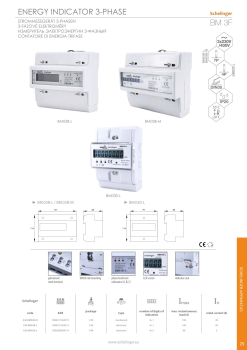 Schelinger Stromzähler 3-Phasen 20(100)A elektronisch A30-BM03B-L
