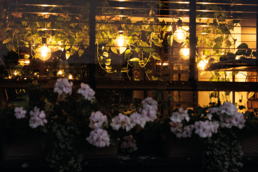 Preview: LED Filament Lampe XLED G95 2500K E27 7W Leuchte 725Lm warmweiss 36241