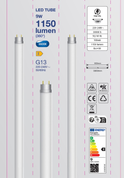 Energetic LED Röhre 60cm T8 G13F 6500K 9W Leuchtmittel 1150Lm Glas Frosted 4211000221