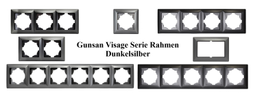 Preview: Gunsan Steckdosenabdeckung Visage 6-fach Rahmen dunkelsilber
