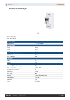 Schelinger Stromzähler 1-Phasen 5(80)A elektronisch A30-BM01B-L