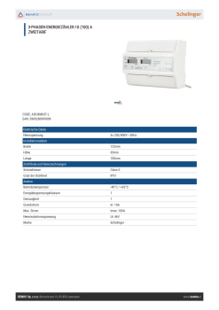 Schelinger Stromzähler 3-Phasen 10(100)A elektronisch IP51 Energiezähler Zweitarif A30-BM03T-L