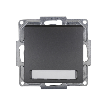 Visage Klingeltaster mit Namensschild und Beleuchtung Dunkelsilber Gunsan