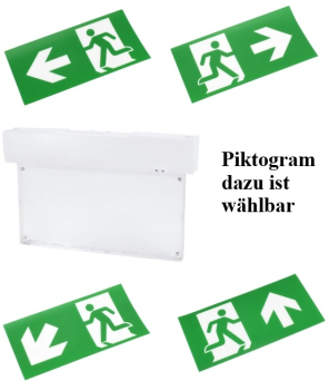 Preview: Piktogramm für MALER 2 Notleuchte - horizontal Pfeil nach rechts C91-MLR2-PKT-HRR