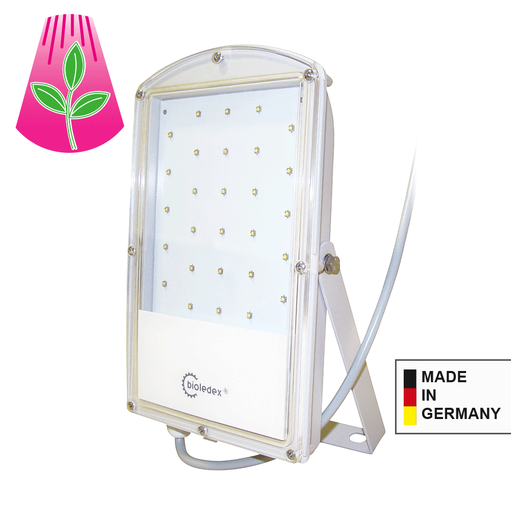 Pflanzenleuchten osram