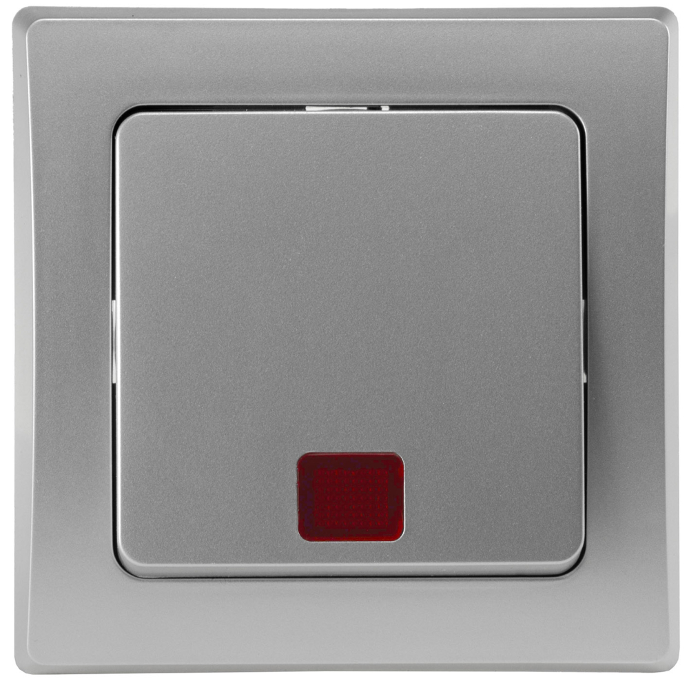 DELPHI Kontroll-Schalter mit Lämpchen 250AV/10A silber, inkl. Lämpchen