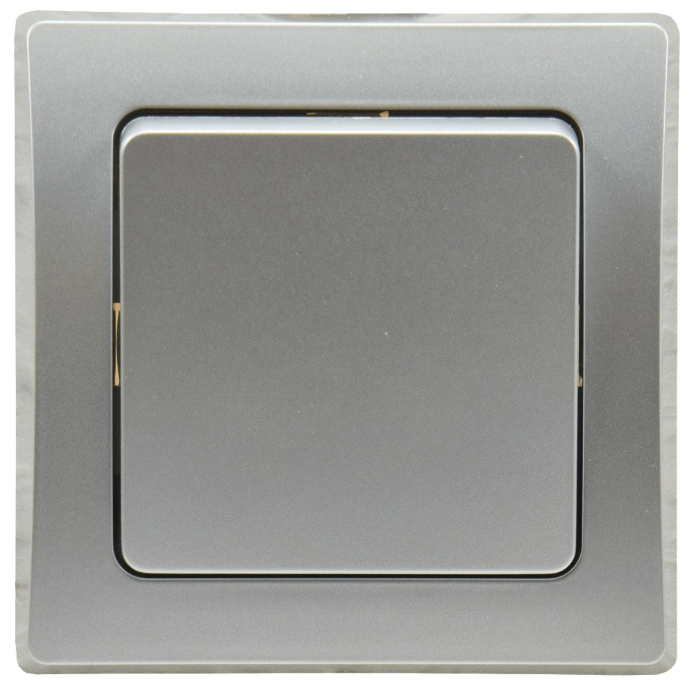 DELPHI Taster 0-250AV/10A silber, inkl. Rahmen