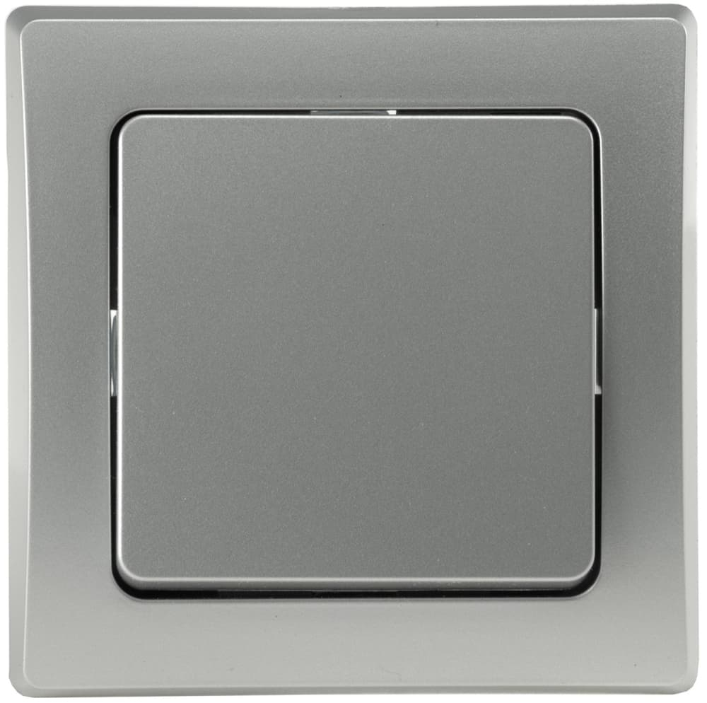 DELPHI Kreuzschalter 250AV/10A silber, inkl. Rahmen