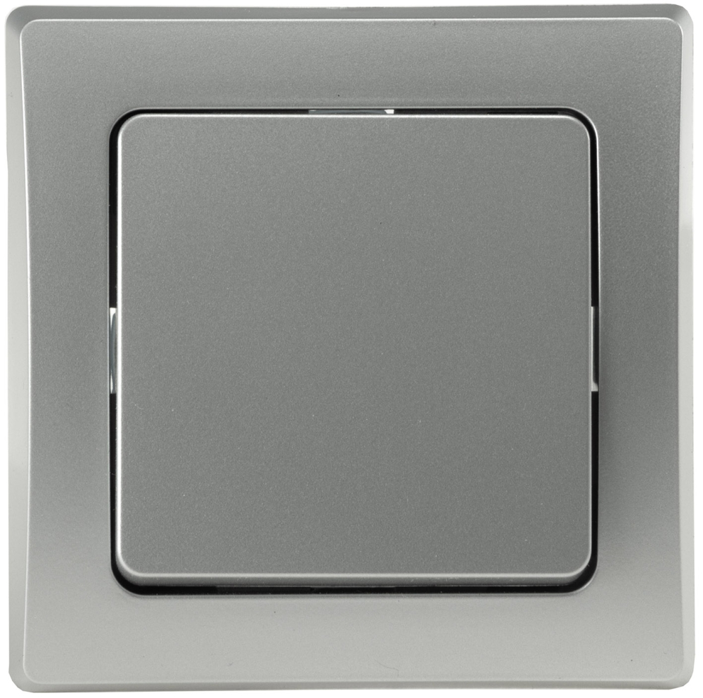 DELPHI Kreuzschalter 250AV/10A silber, inkl. Rahmen