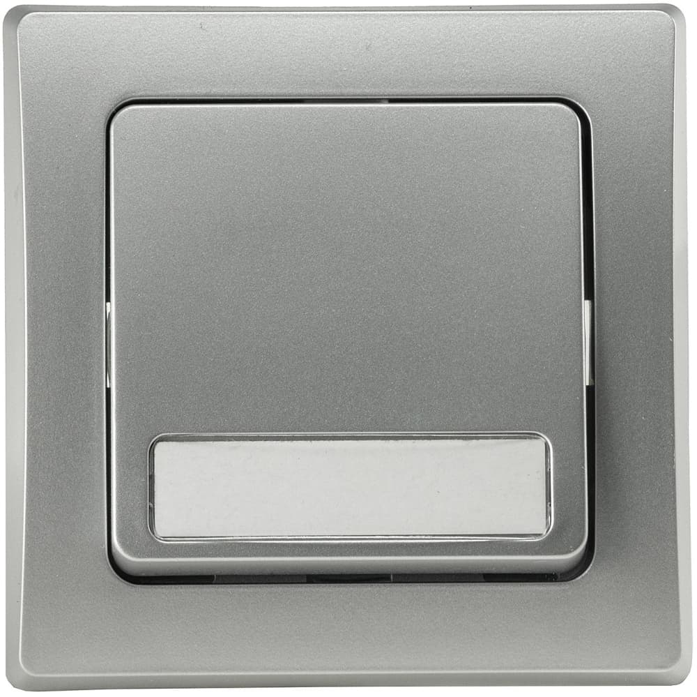 DELPHI Taster mit Namensschild 0-250AV/10A silber, inkl. Rahmen