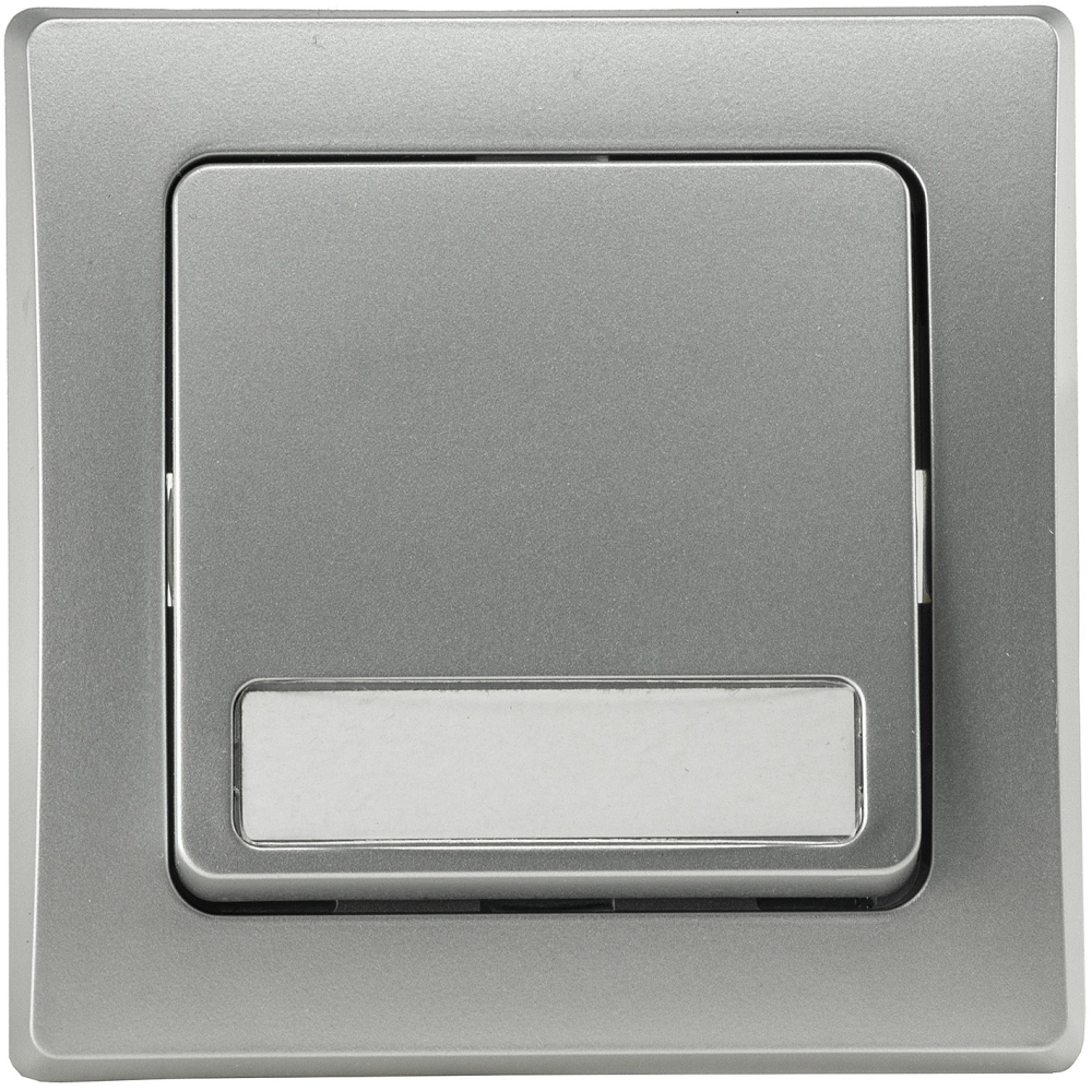 DELPHI Taster mit Namensschild 0-250AV/10A silber, inkl. Rahmen