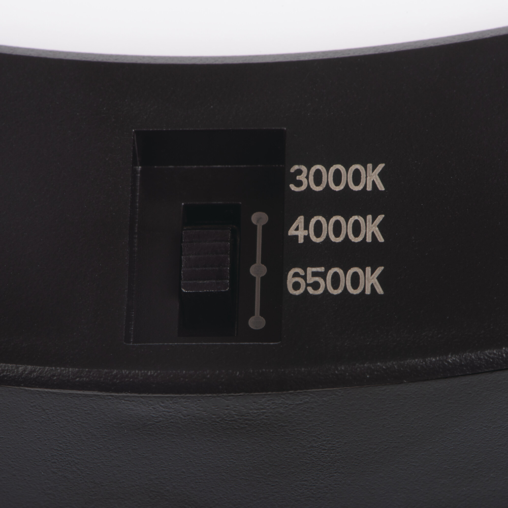 LED Wandleuchte / Deckenleuchte ERGA 17W CCT-B 3000/4000/6500K schwarz 24607