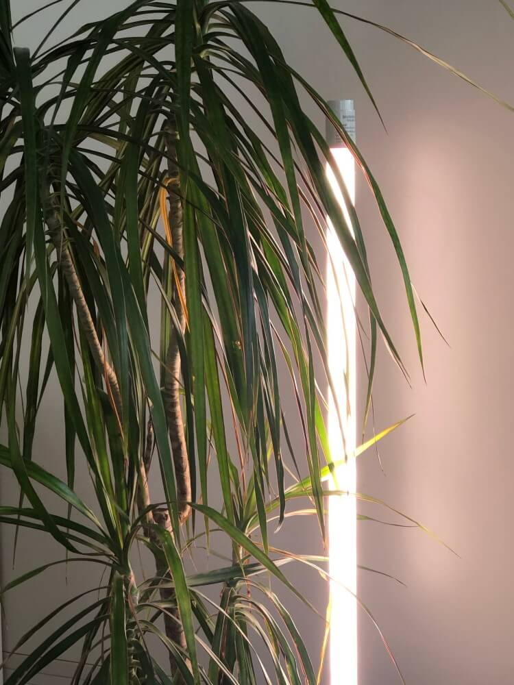 Bioledex Metall Erdspieß für vertikale Pflanzenbeleuchtung TIP65-System IP8-10ES-332