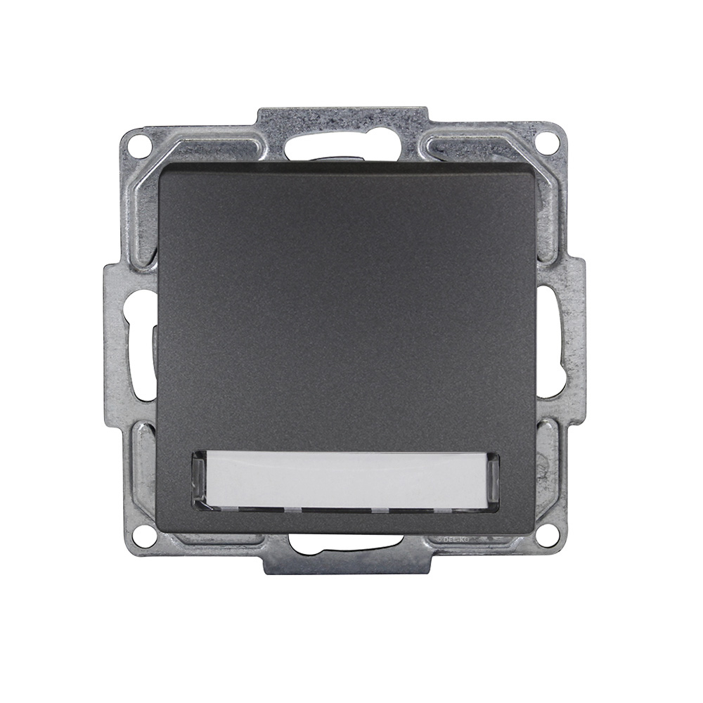 Visage Klingeltaster mit Namensschild und Beleuchtung Dunkelsilber Gunsan