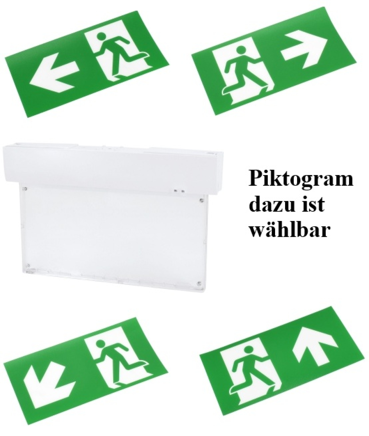 Piktogramm für MALER 2 Notleuchte - horizontal Pfeil nach rechts C91-MLR2-PKT-HRR