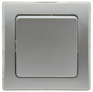 ChiliTec DELPHI Taster in Farbe silber mit  Rahmen