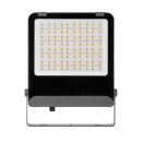 LED Außenstrahler FL AGOR AIO CCT 3000/4000/6000K IP65 Fluter 38429