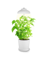 Bioledex GoLeaf TOP5 LED Pflanzenlampe Vollspektrum 5W USB Pflanzenleuchte